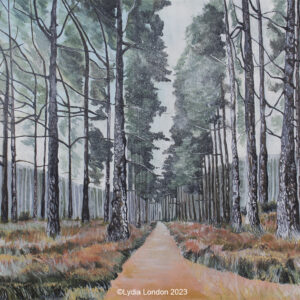 Woods near Ballater
