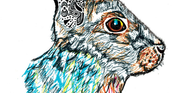 Colourful Hare