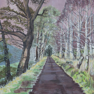 Woods near Innerleithen