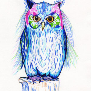 Owl Fine Liner Artwork Print