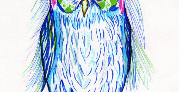 Owl