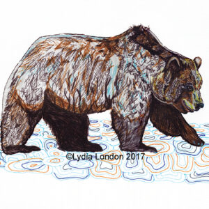 Grizzly Bear