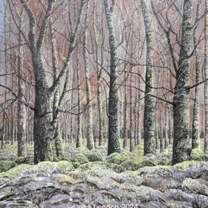 Portmore Estate Scottish Borders