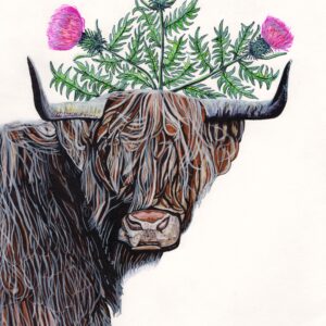 Highland Cow Fine Liner Artwork Print