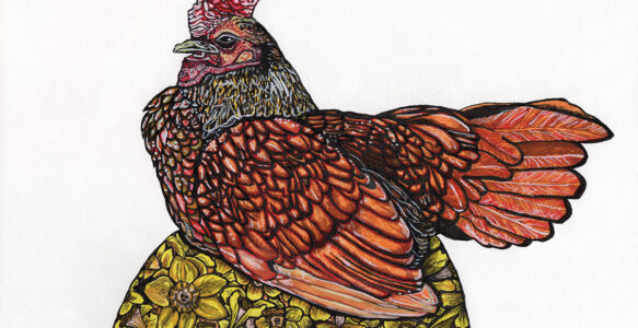 Chicken