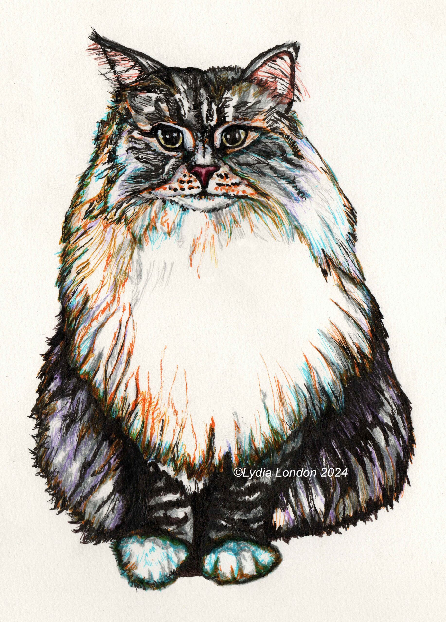 Fluffy Cat High Quality Print