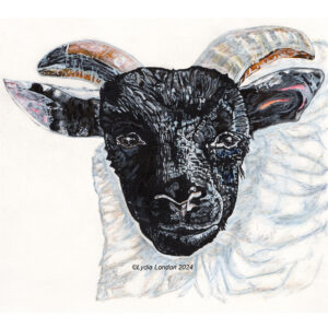Scottish Sheep Print