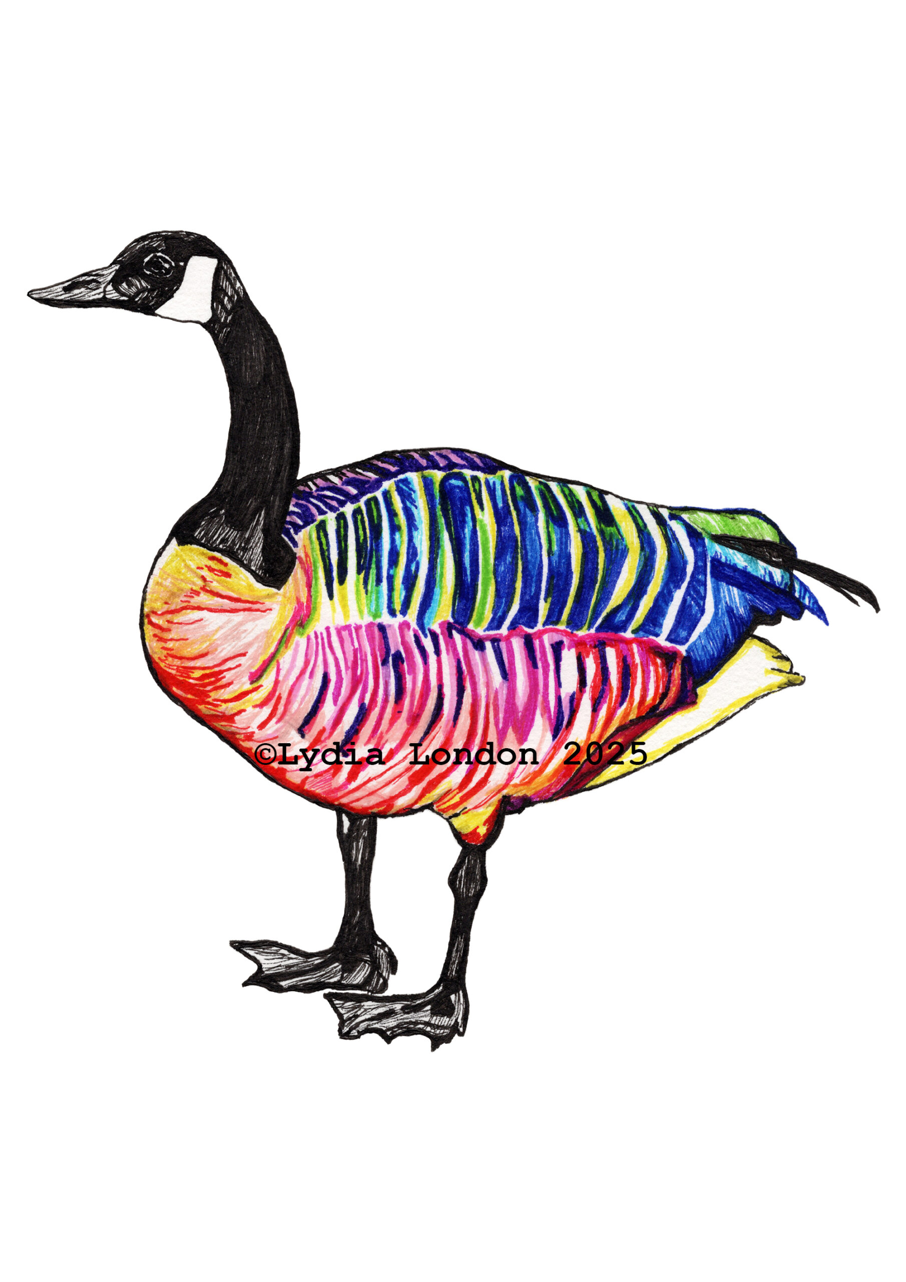 Colourful Goose